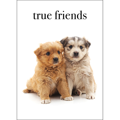 M125 - True Friends - Animal Greeting Card