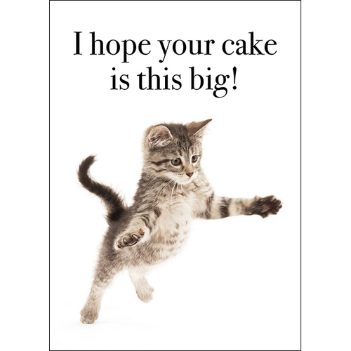 35 Cat Birthday Memes That Are Way Too Adorable - SayingImages.com