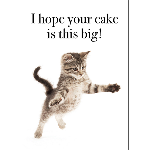 M131 - I Hope Your Cake Is This Big! - Cat Birthday Card