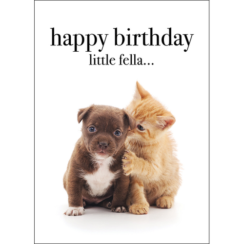 M132 - Happy Birthday Little Fella - Baby Animal Greeting Card