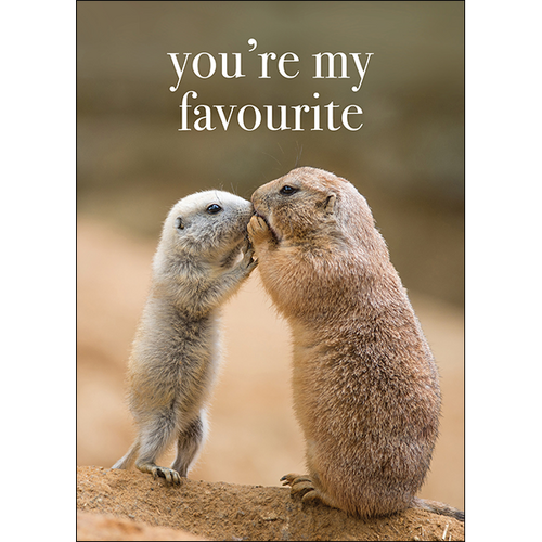 M134 - You're My Favourite - Animal Greeting Card