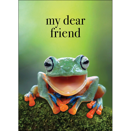 M135 - My Dear Friend - Frog Greeting Card