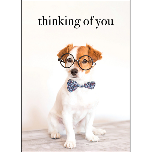 M136 - Thinking Of You - Puppy Greeting Card