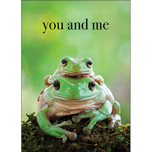 M137 - You And Me - Frog Greeting Card
