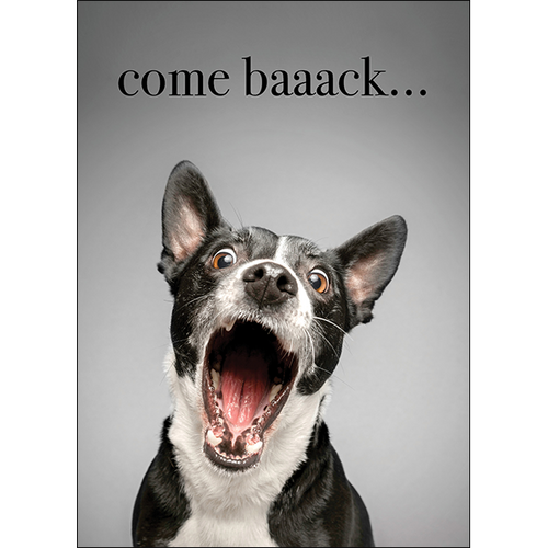 M140 - Come Baaack! - Dog Greeting Card
