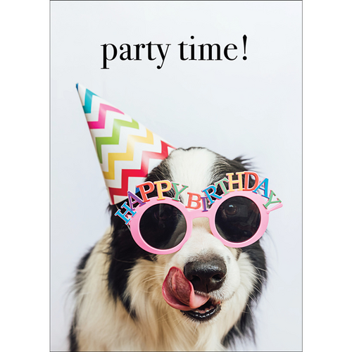 M141 - Party Time! - Dog Greeting Card