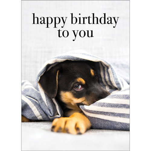 M142 - Happy Birthday To You - Dog Greeting Card