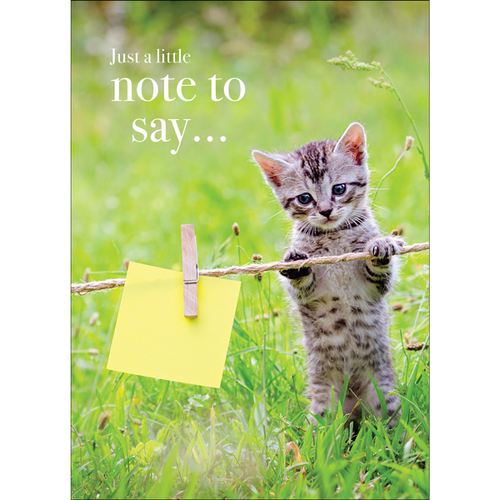 M143 - Just A Little Note To Say - Kitten Greeting Card