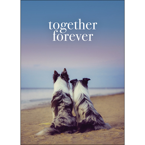 M15 - Together forever - Animal greeting card
