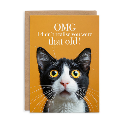 M152 - OMG I didn't realise - Cat Birthday Card