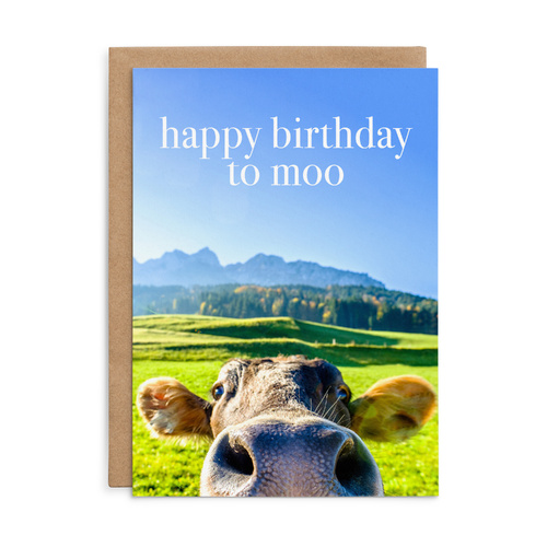 M153 - Happy Birthday to moo - Cow Birthday Card
