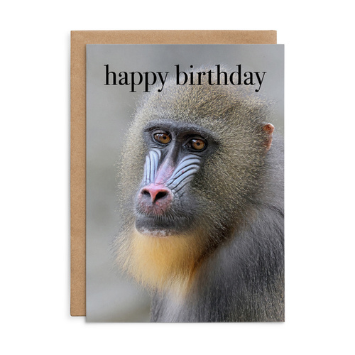M159 - Happy Birthday. - Animal Birthday Card