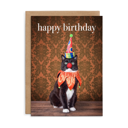 M161 - Happy Birthday. - Cat Birthday Card