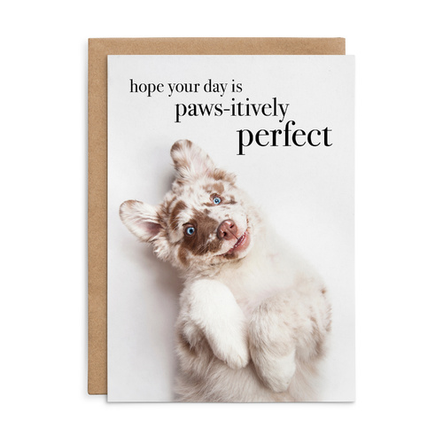 M165 - Hope your day is paws-itively perfect. - Dog Birthday Card