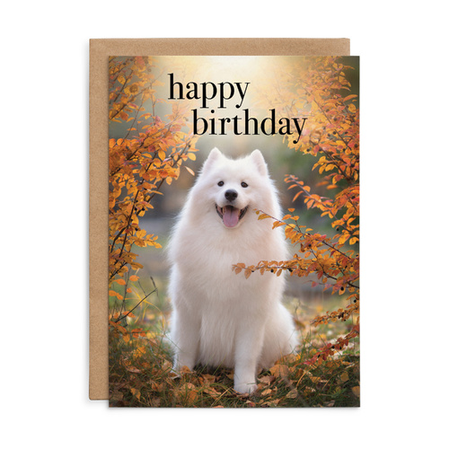 M166 - Happy Birthday. - Dog Birthday Card