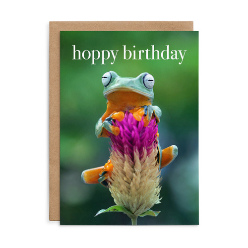 M167 - Hoppy Birthday. - Animal Birthday Card