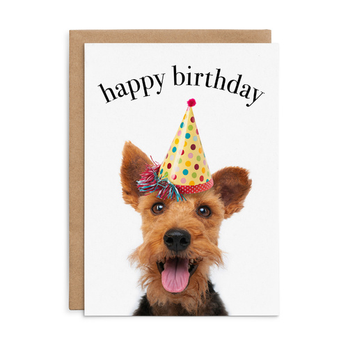 M168 - Happy Birthday. - Dog Birthday Card