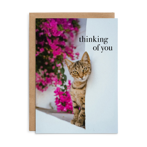 M172 - Thinking of you. - Animal Greeting Card