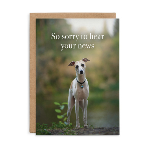 M173 - So sorry to hear your news. - Animal Greeting Card