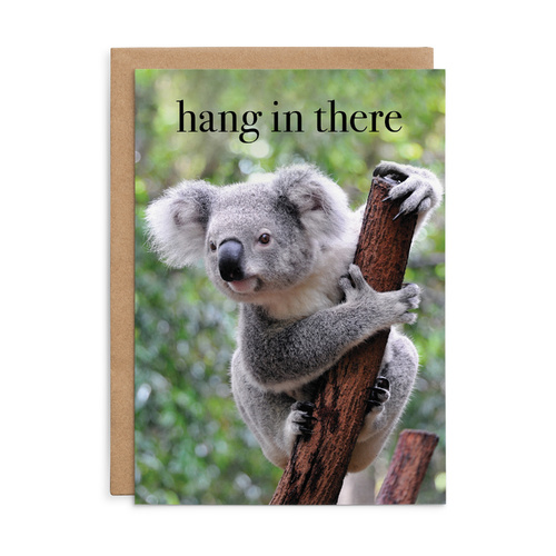 M174 - Hang in there. - Animal Greeting Card