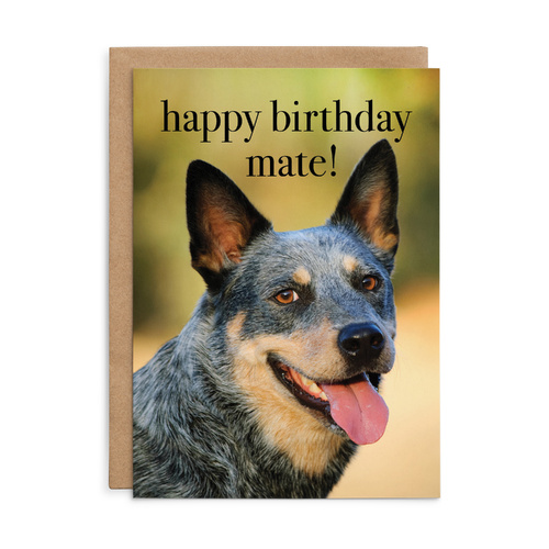 M176 - Happy Birthday mate! - Dog Birthday Card