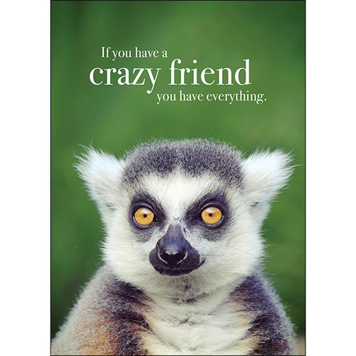 M18 - Crazy Friend - Animal greeting card