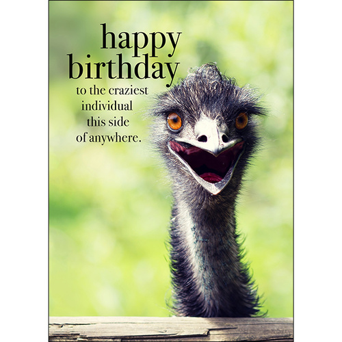 Emu Animal Birthday Card - Happy Birthday