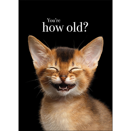 M032 - You're How Old? - Animal Greeting Card