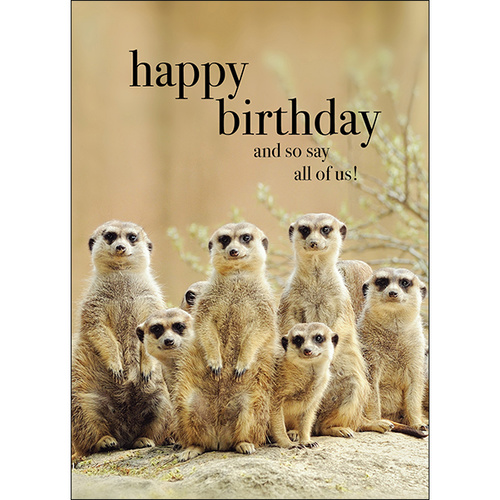 Meerkats Animal Birthday Card - And so say all of us | Affirmations  Publishing House