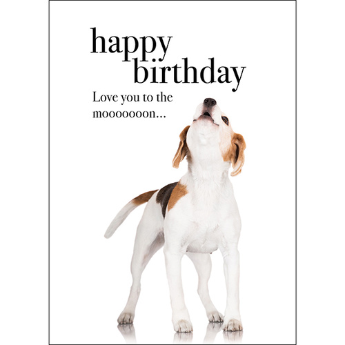 M036 - Happy Birthday - Animal Greeting Card