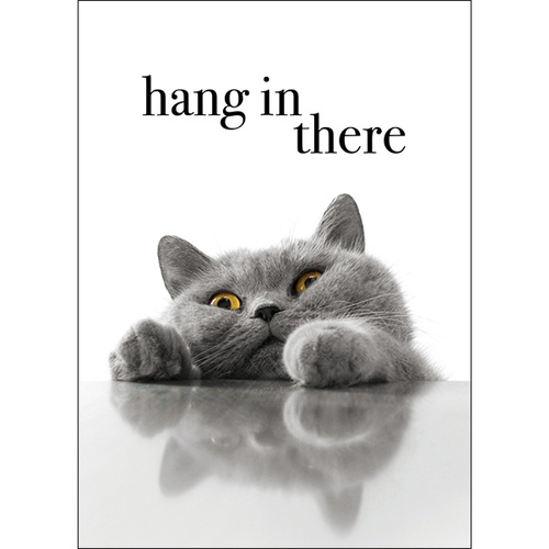 M050 - Hang In There - Animal Greeting Card