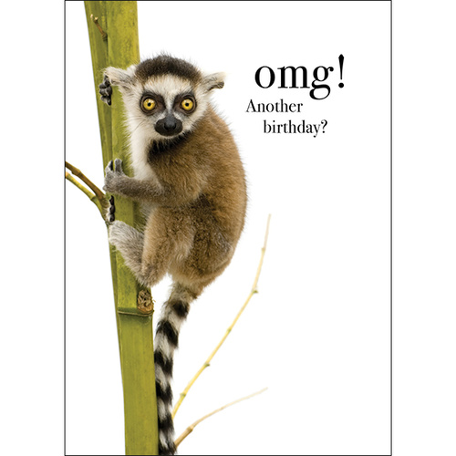 M056 - Omg! - Animal Greeting Card