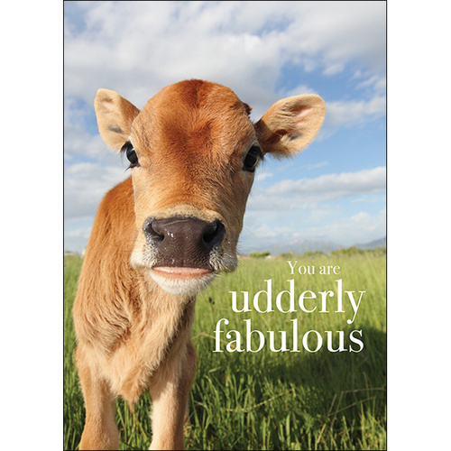 M060 - You Are Udderly Fabulous - Animal Greeting Card