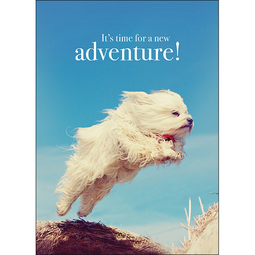 M64 - Adventure - Animal greeting card