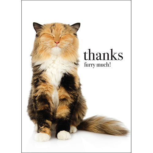M69 - Thanks furry much - Animal greeting card