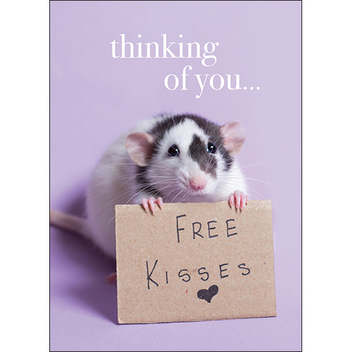 M074 - Thinking Of You - Animal Greeting Card