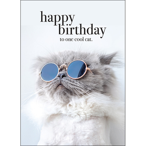 M75 - One cool cat - Animal greeting card