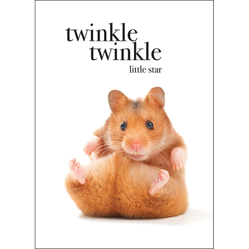 M076 - Twinkle Twinkle - Animal Greeting Card