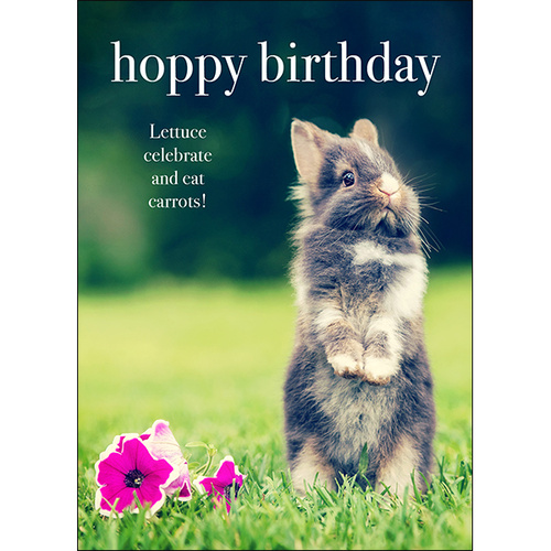 M082 - Hoppy Birthday - Animal Greeting Card