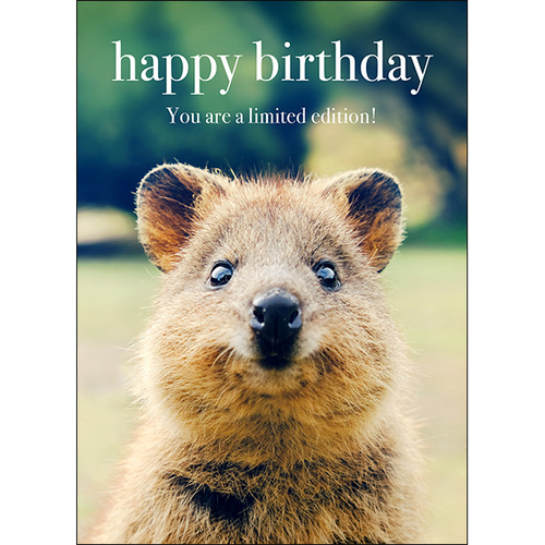 M084 - Happy Birthday. You Are A Limited Edition! - Animal Greeting Card