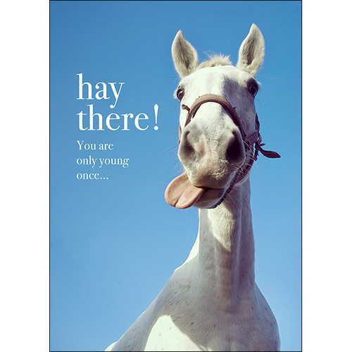 M085 - Hay There! You Are Only Young Once - Animal Greeting Card