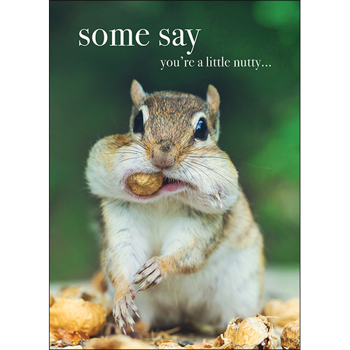 M086 - Some Say You're A Little Nutty - Animal Greeting Card