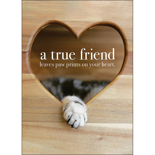 M089 - A True Friend Leaves Paw Prints - Animal Greeting Card