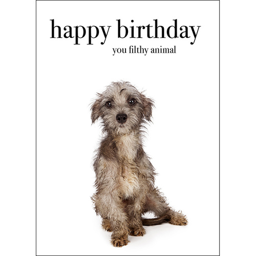 M090 - Happy Birthday You Filthy Animal - Animal Greeting Card