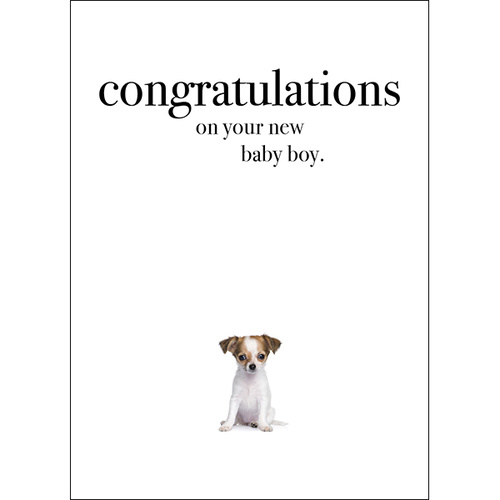 M94 - Congratulations on your new baby boy - Animal greeting card
