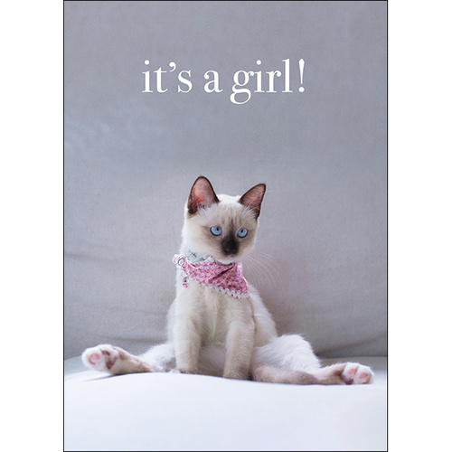 M095 - It's A Girl! - Animal Greeting Card
