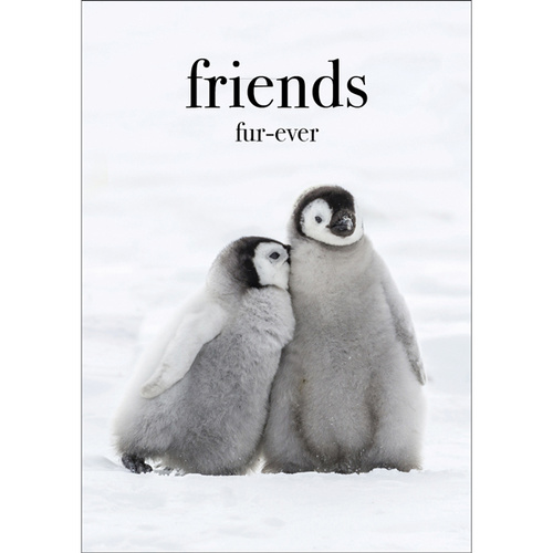 TM03 - Friends fur-ever - Penguin Mini Card