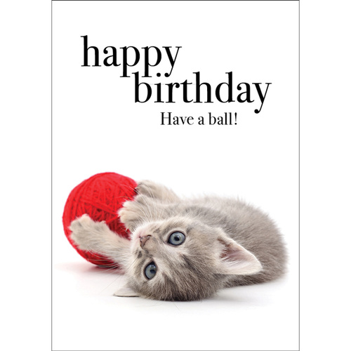 TM04 - Happy Birthday - Cat Mini Card