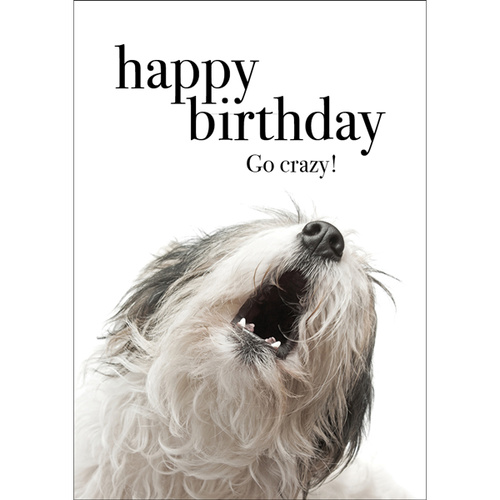 TM05 - Happy birthday - Dog Mini Card