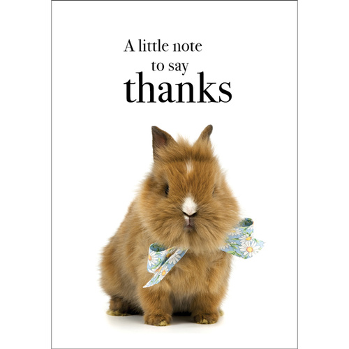 TM06 - Thanks - Bunny Mini Card